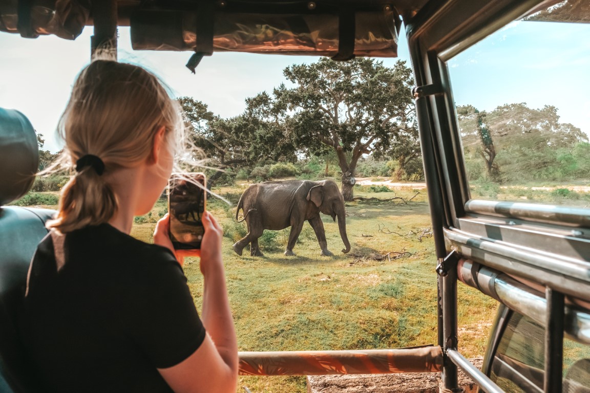 EM Ceylon Tours Activities