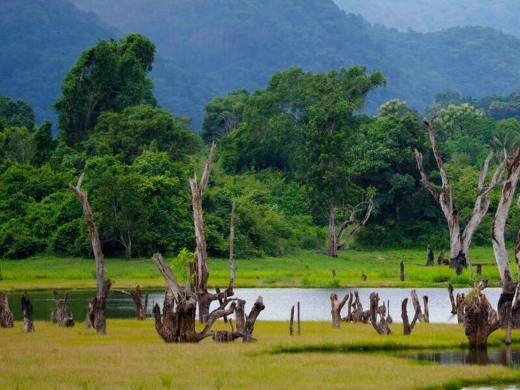 EM Ceylon Tours Activities